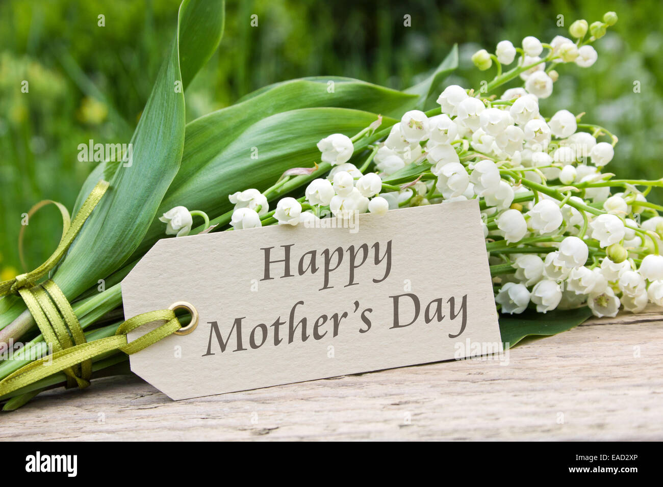 English Mother`s day card with Lily of the valley Stock Photo